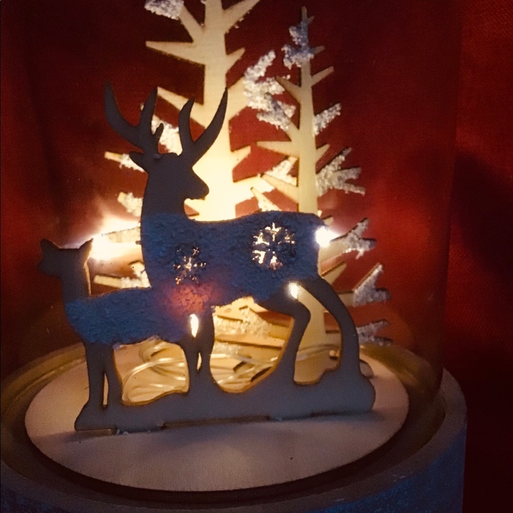 Christmas globe